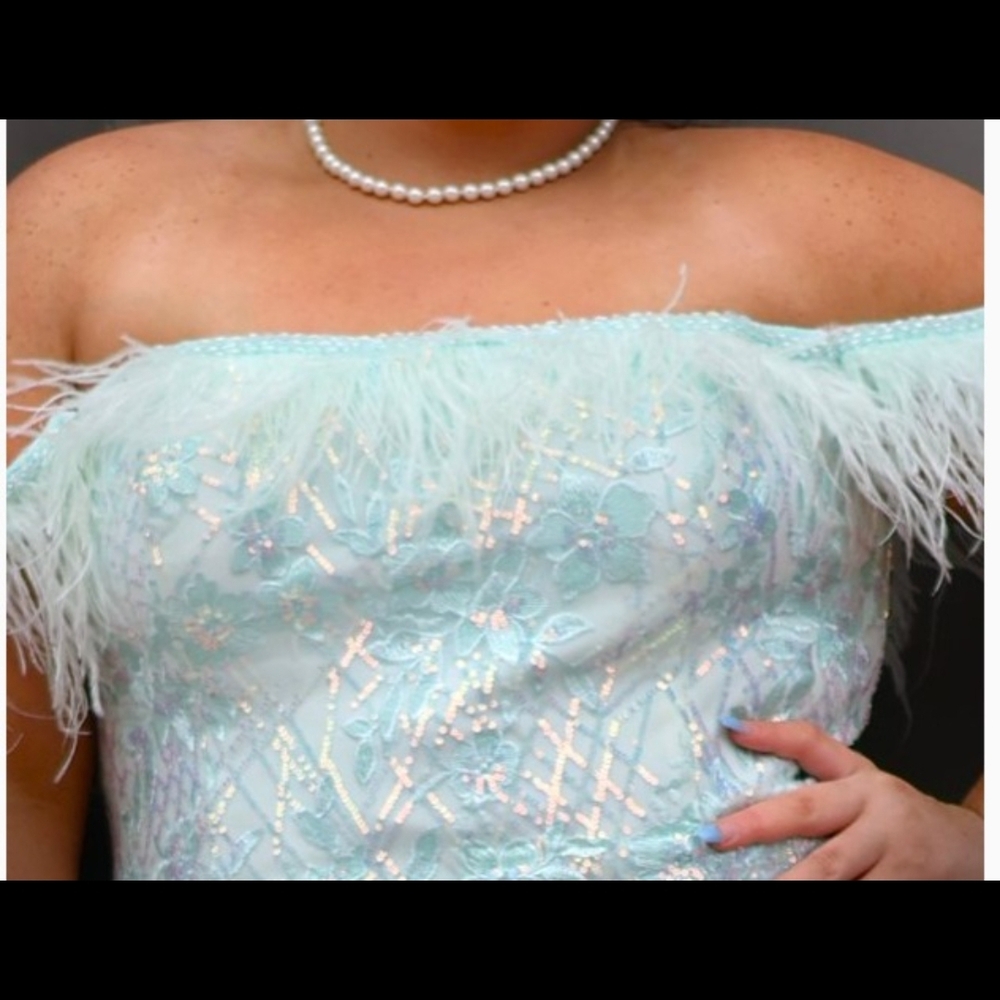 Elegant Off-Shoulder Feathered Prom Dress